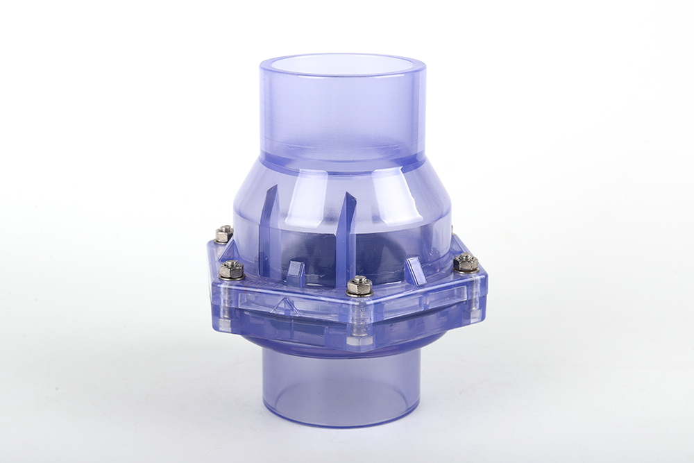 黄圃镇透明翻板式止回阀